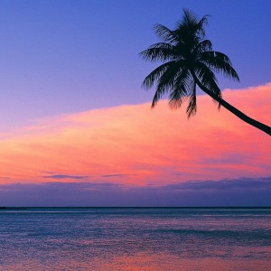 Classifica 5 crociere MSC più belle estate 2015