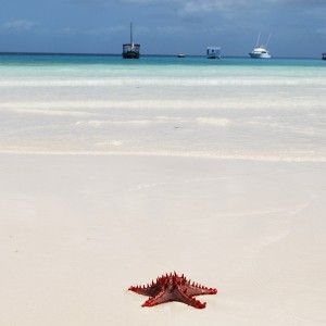 Offerta ponte 2 giugno voli opodo zanzibar