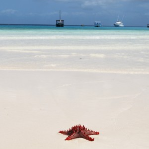 Offerta ponte 2 giugno voli opodo zanzibar