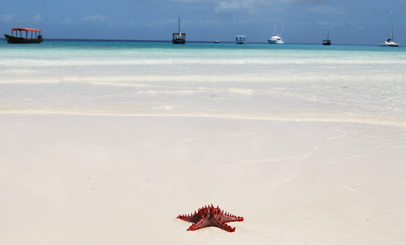 Offerta ponte 2 giugno voli opodo zanzibar