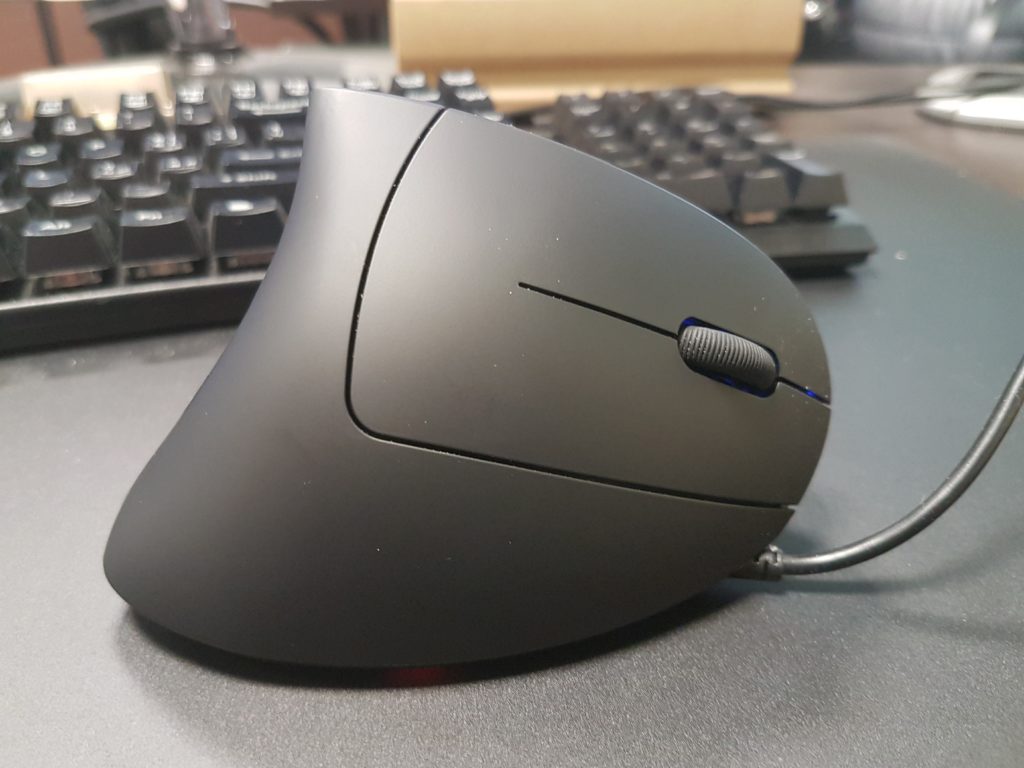 mouse