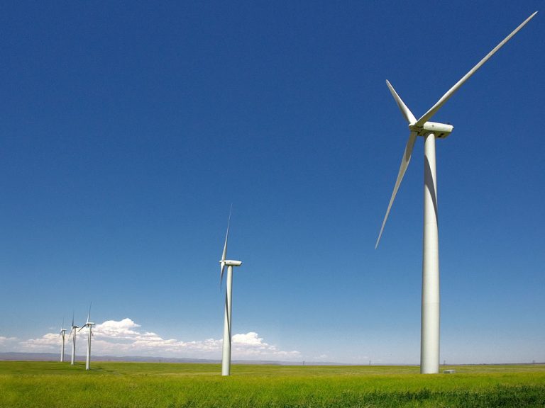 pale eoliche