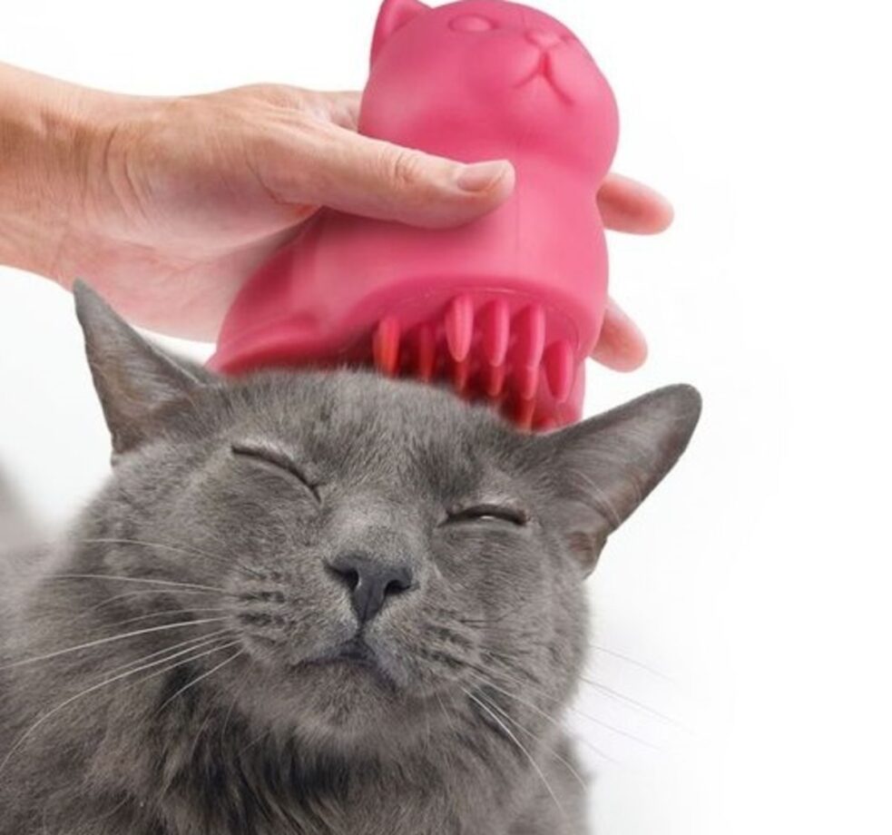 spazzola per gatti