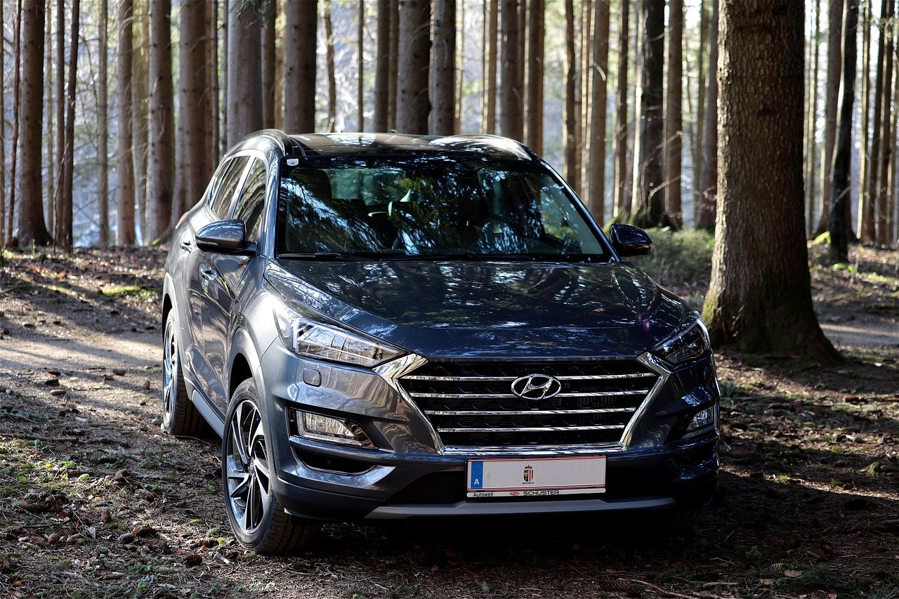 Auto a noleggio: suv