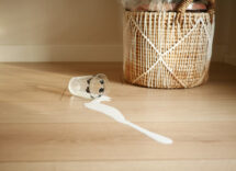 Quanto bisogna spendere per ottenere uno degli aspirapolveri più amati