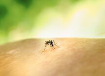 national institute of allergy and infectious diseases eor3toe9jw0 unsplash