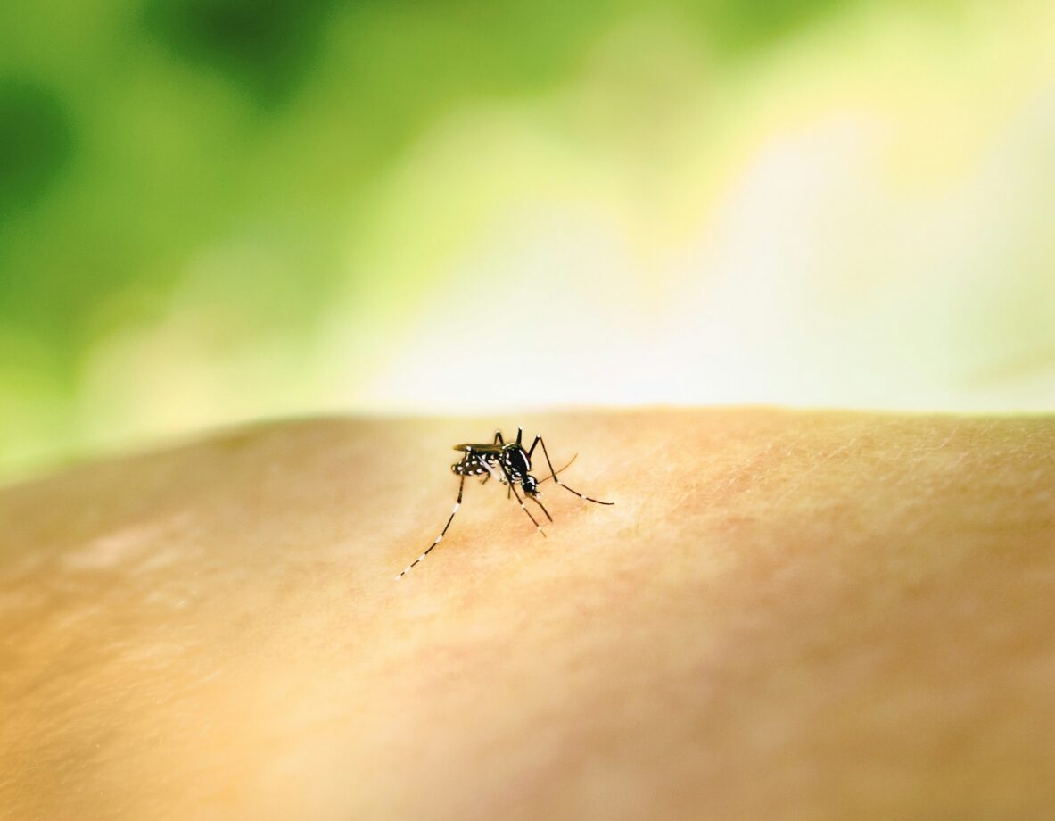 national institute of allergy and infectious diseases eor3toe9jw0 unsplash