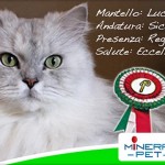 02 coupon entro medico strasburgo mineral pet analisi veterinario milano 1 150x150