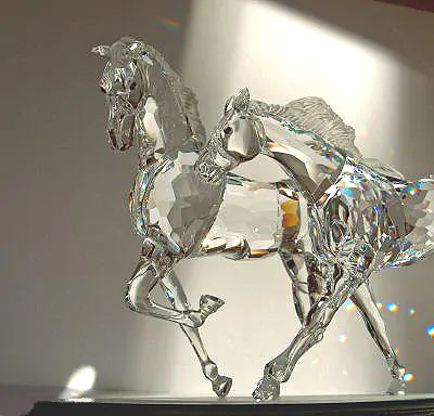 Swarovski , gioielli e bellezza quotidiana