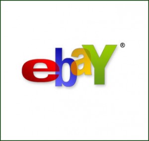 ebay logo 300x284